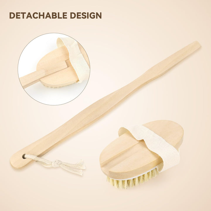 Translation missing: en.2 Pack Detachable Bath Bristle Brush, Wood Long Handle Dry Brushing Body Brush for Shower