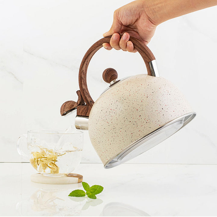 Translation missing: en.2.5L Whistling Tea Kettle Stovetop Food Grade Stainless Steel Tea Pots for Kitchen Hotel