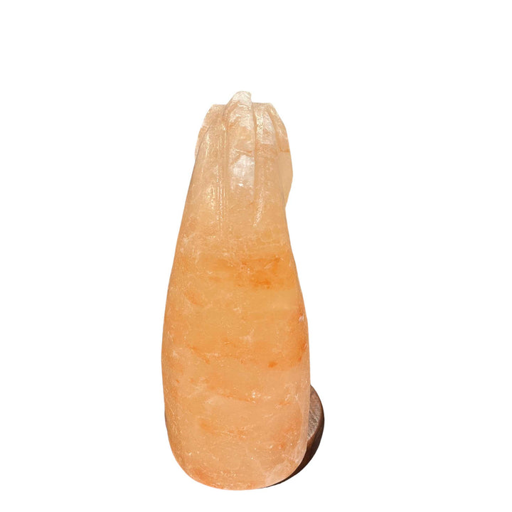 Translation missing: en.12V 12W Horse Himalayan Pink Salt Lamp Carved Knight Rock Crystal Light Bulb On/Off