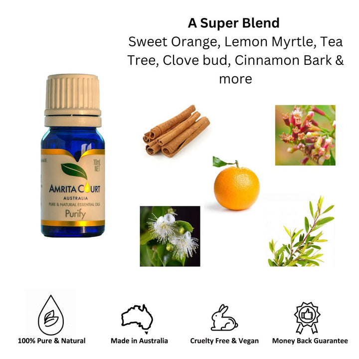 Translation missing: en.Amrita Court Pure and Essential Oils Purify 10ml